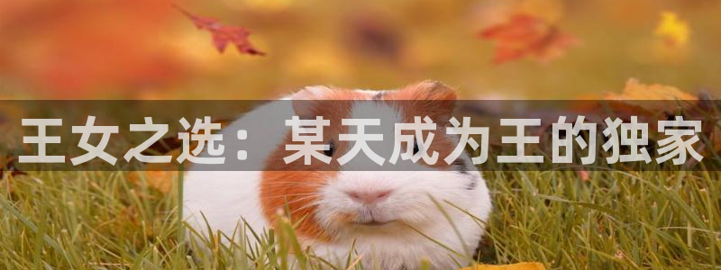 短跑女神漫画高清版：王女之选：某天成为王的独家